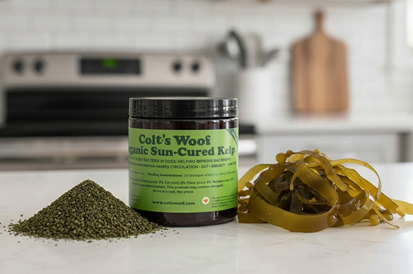 Keep Those K9 Chompers Clean: The Kelp Secret for a Healthy Canine Smile!