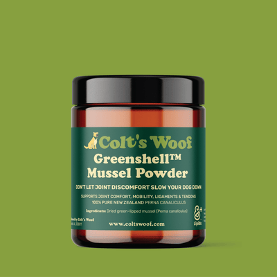 Colt's Woof Greenshell™ Mussel Powder for Senior Dogs for Mobility & Joint Comfort – 4 oz greenshell mussel powder for senior dogs for mobility joi...