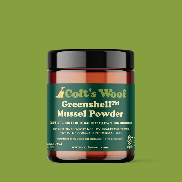 Greenshell™ Mussel Powder for Senior Dogs for Mobility & Joint Comfort