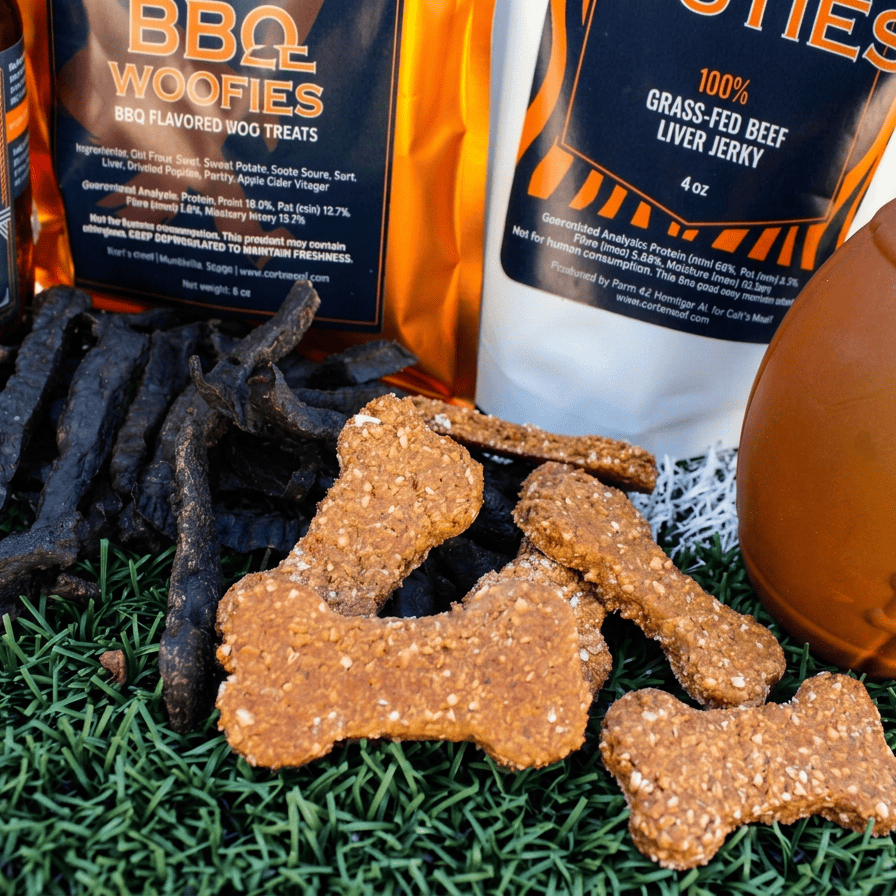 Auburn Football Game Day Bundle for Dogs