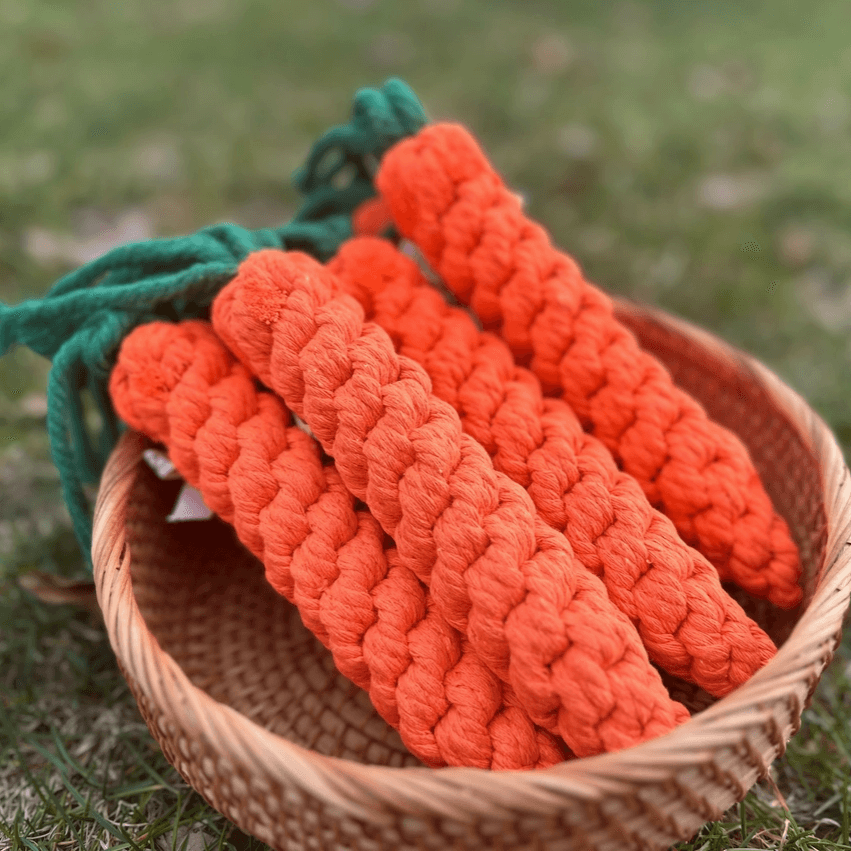 Colt's Woof Carrot Rope Toy for dogs (image 4 of 6)
