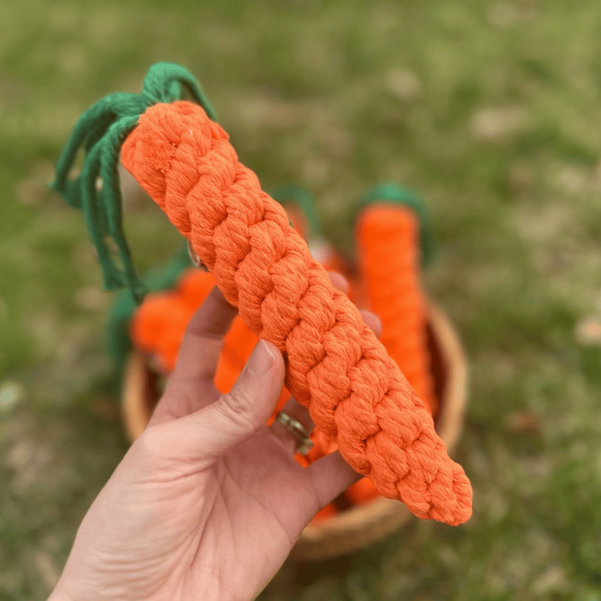 Colt's Woof Carrot Rope Toy for dogs (image 5 of 6)