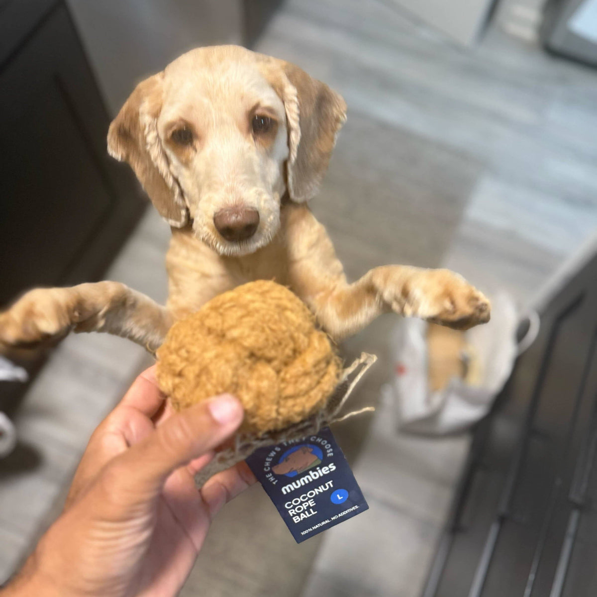 Colt's Woof Coconut Rope Ball for dogs (image 2 of 3)