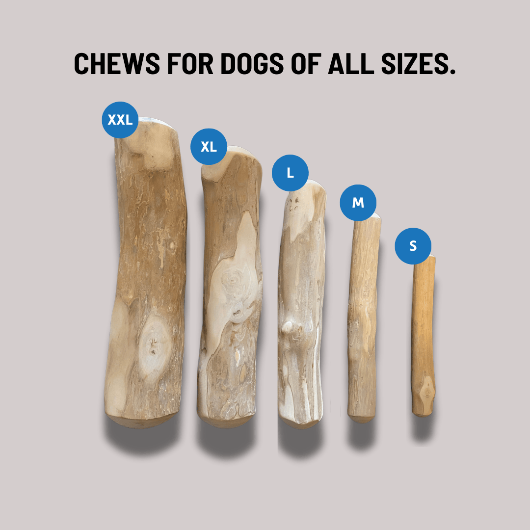 Colt's Woof Coffeewood Chew for dogs (image 3 of 7)