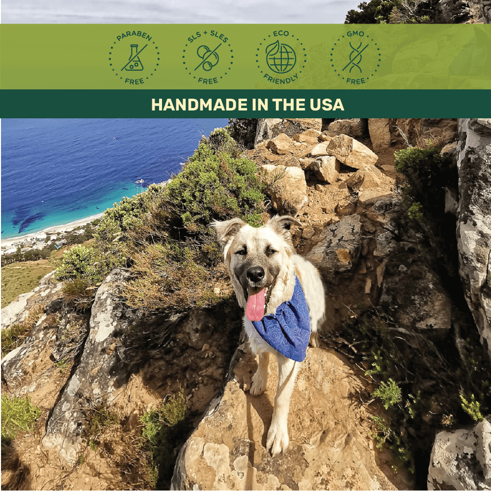 Colt's Woof Aloe Ferox Healing Paw & Nose Balm – Dog balm aloe ferox healing paw nose balm (image 6 of 7)