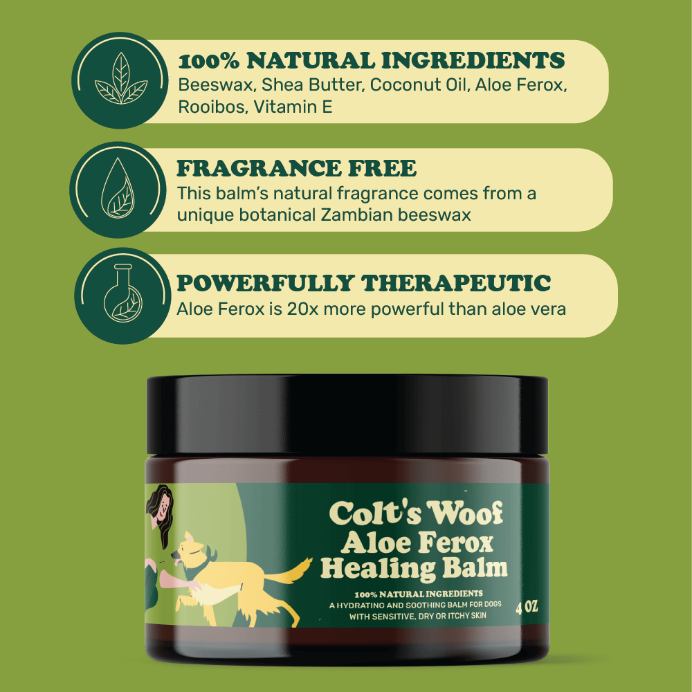 Colt's Woof Aloe Ferox Healing Paw & Nose Balm – Dog balm aloe ferox healing paw nose balm (image 3 of 7)