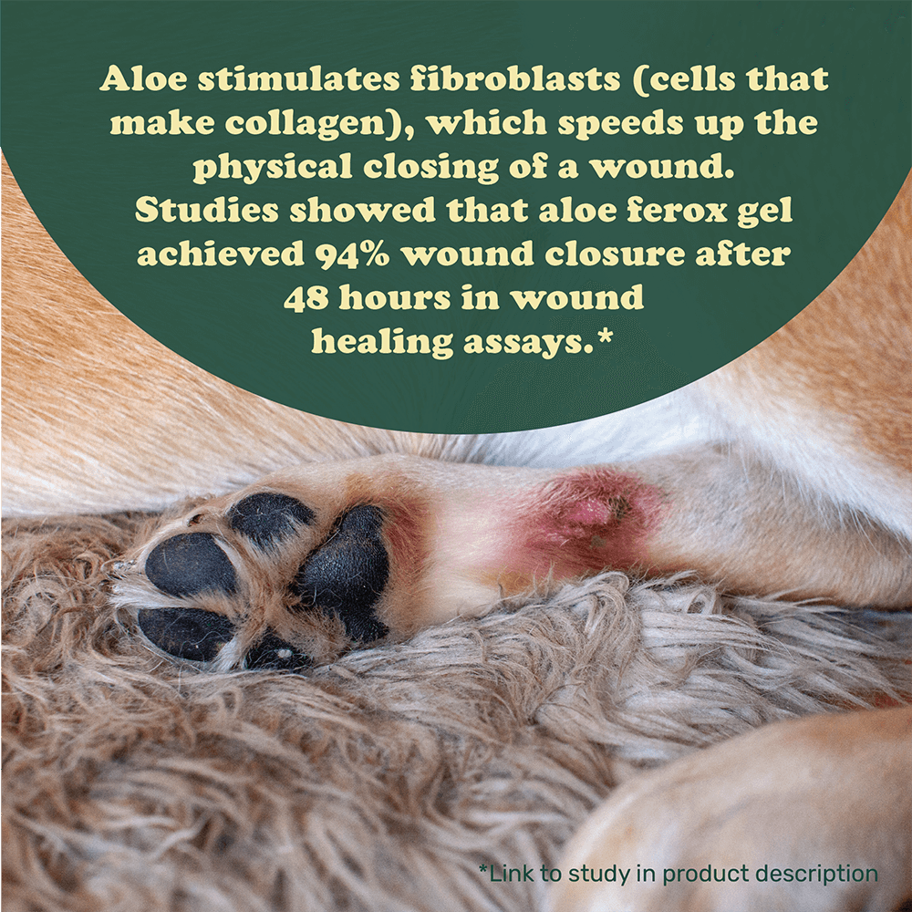 Colt's Woof Aloe Ferox Hot Spot & Wound Healing Gel – Dog balm aloe ferox hot spot wound healing gel (image 7 of 10)