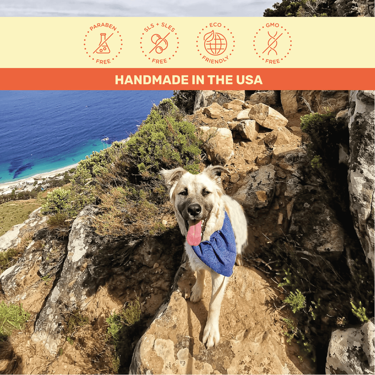 Colt's Woof Baobab & Honeybush Hydrating Paw & Nose Balm – Dog balm baobab honeybush hydrating paw nose balm (image 6 of 7)