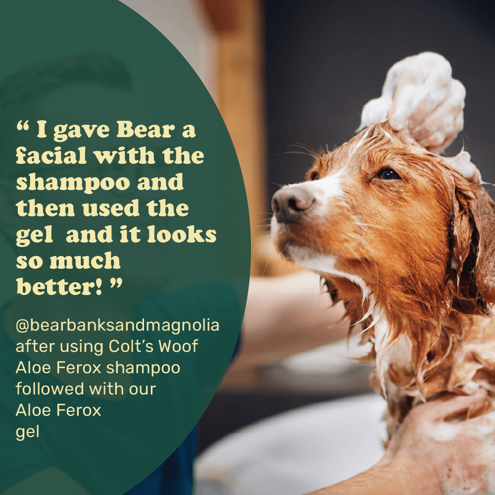 Colt's Woof Aloe Ferox Soothe & Relief Shampoo – Dog shampoo aloe ferox soothe relief shampoo (image 6 of 10)