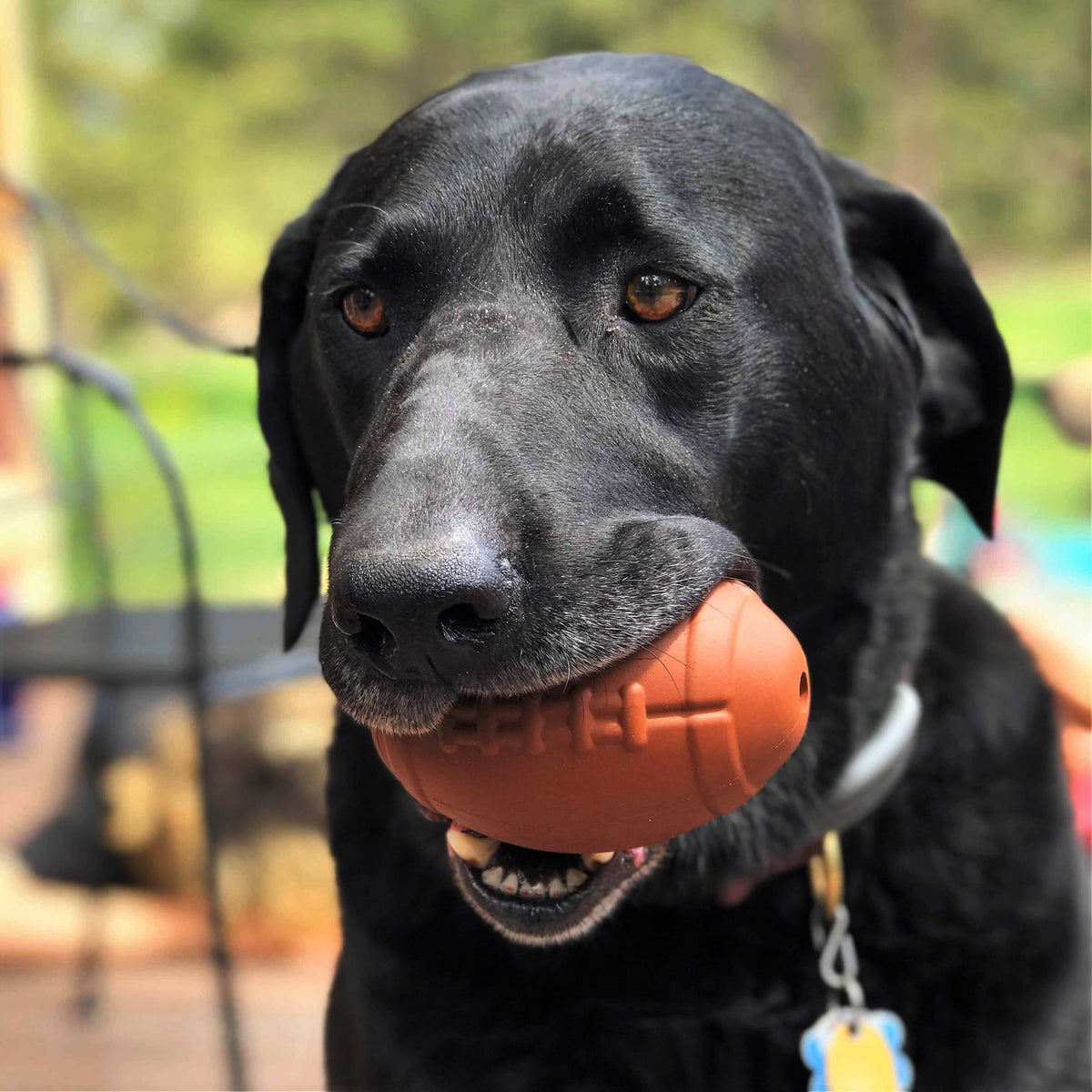 Colt's Woof Football Dog Chew Toy and Treat Dispenser (image 2 of 5)