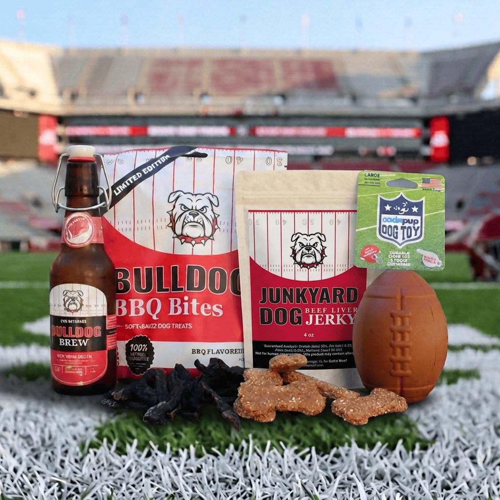 Georgia Football Game Day Bundle for Dogs
