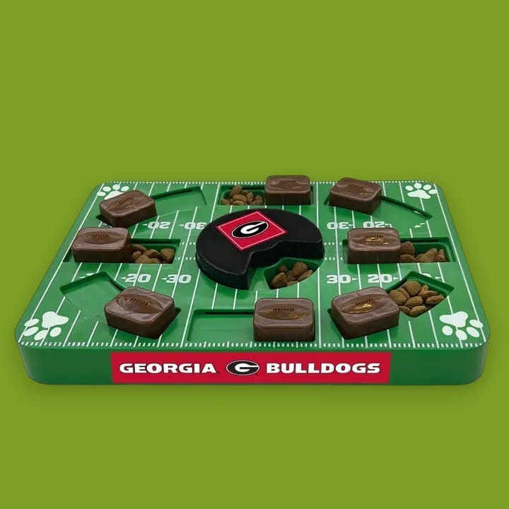 Georgia Football Puzzle Toy