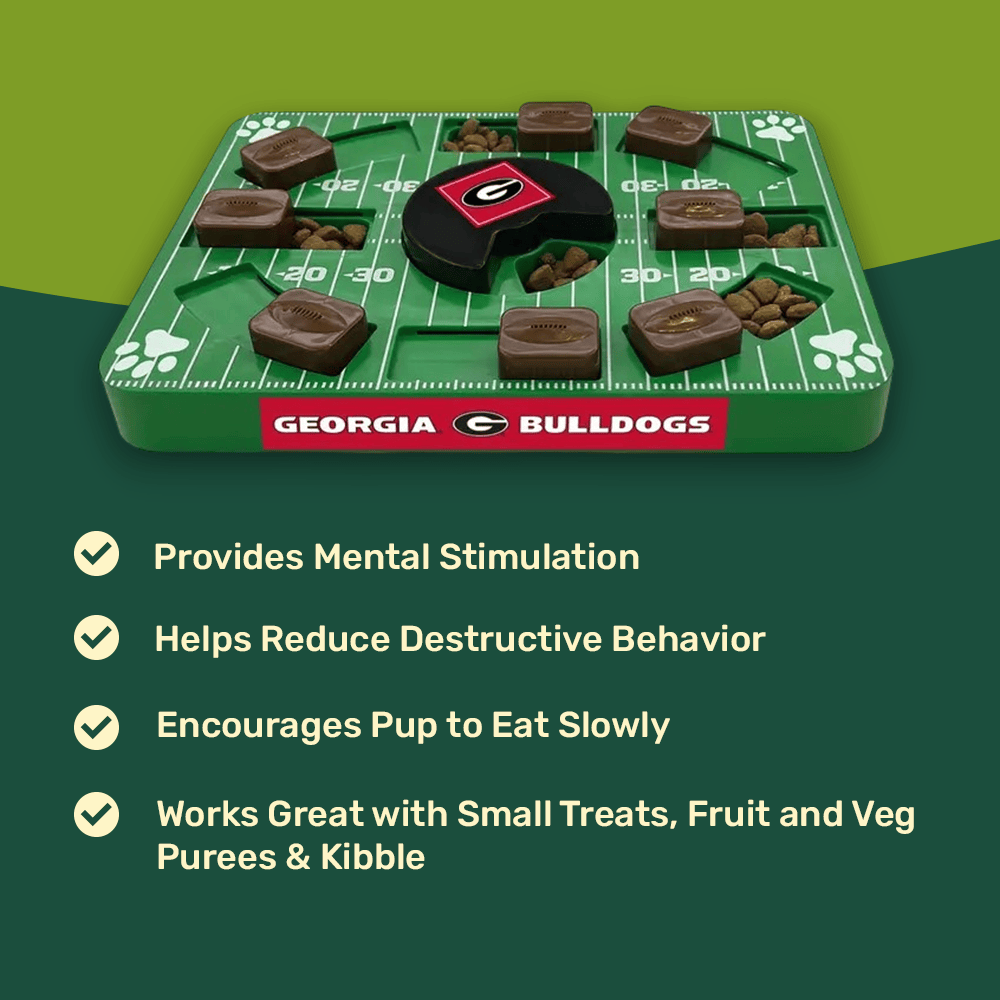 Georgia Football Puzzle Toy