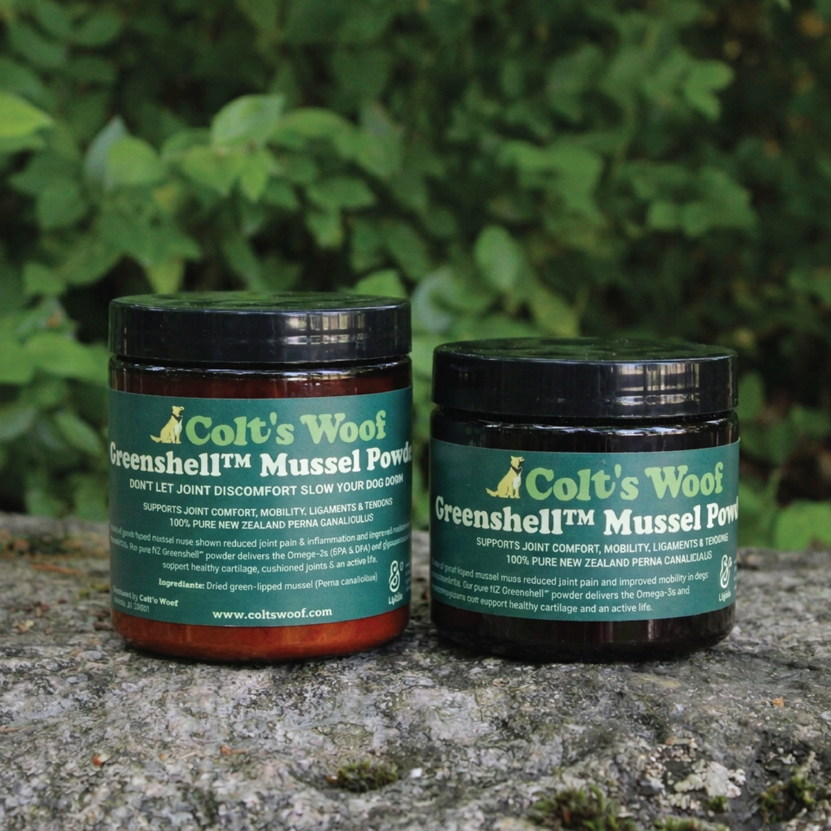 Colt's Woof Greenshell™ Mussel Powder for Senior Dogs for Mobility & Joint Comfort – Greenshell mussel powder for senior dogs for mobility joint co...