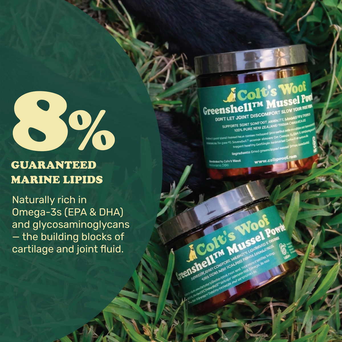 Colt's Woof Greenshell™ Mussel Powder for Senior Dogs for Mobility & Joint Comfort – Greenshell mussel powder for senior dogs for mobility joint co...