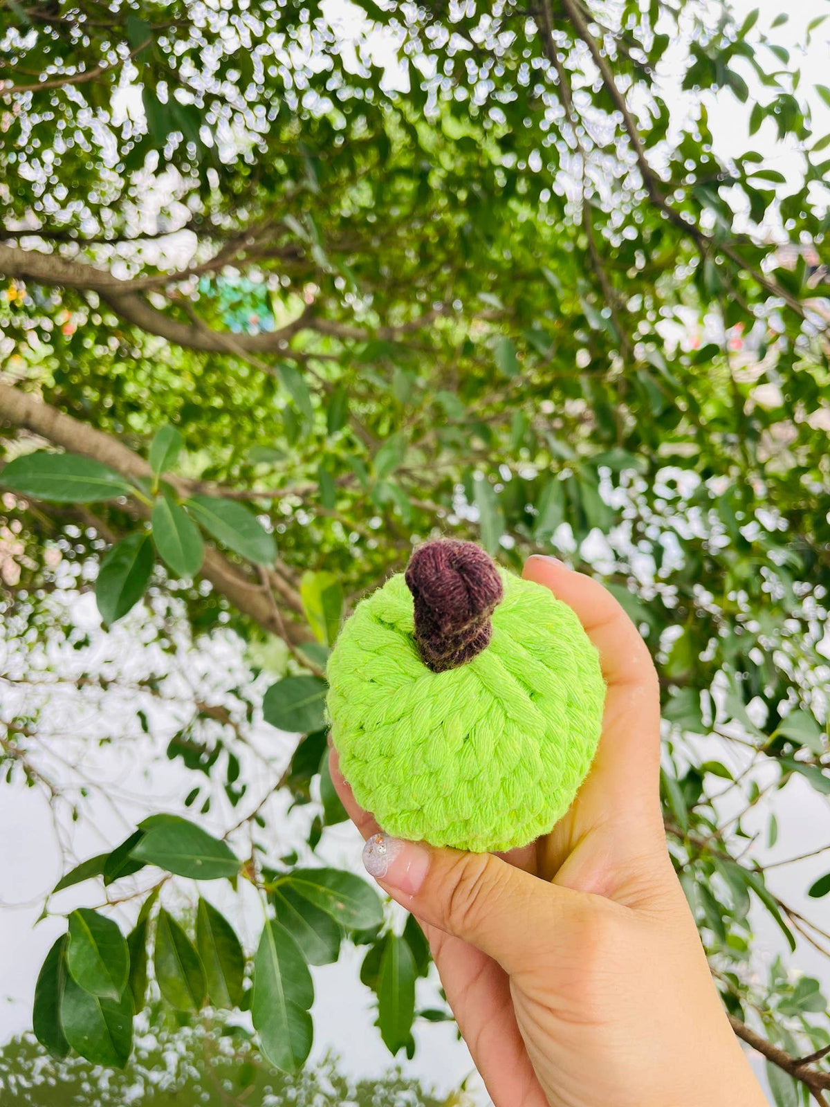 Colt's Woof Handmade Sustainable Green Apple Rope Chew Toy For Puppies for dogs (image 3 of 6)