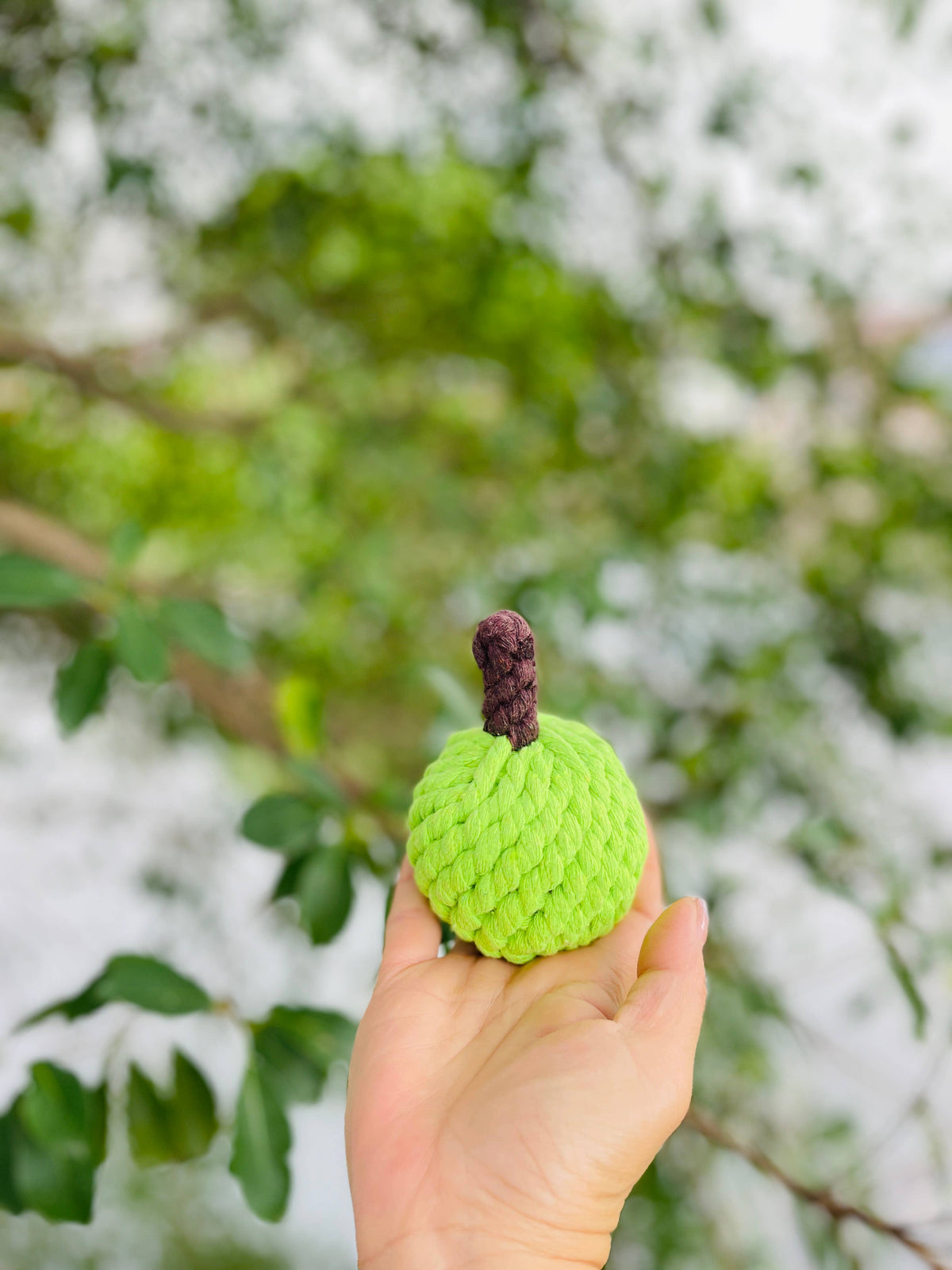 Colt's Woof Handmade Sustainable Green Apple Rope Chew Toy For Puppies for dogs (image 5 of 6)