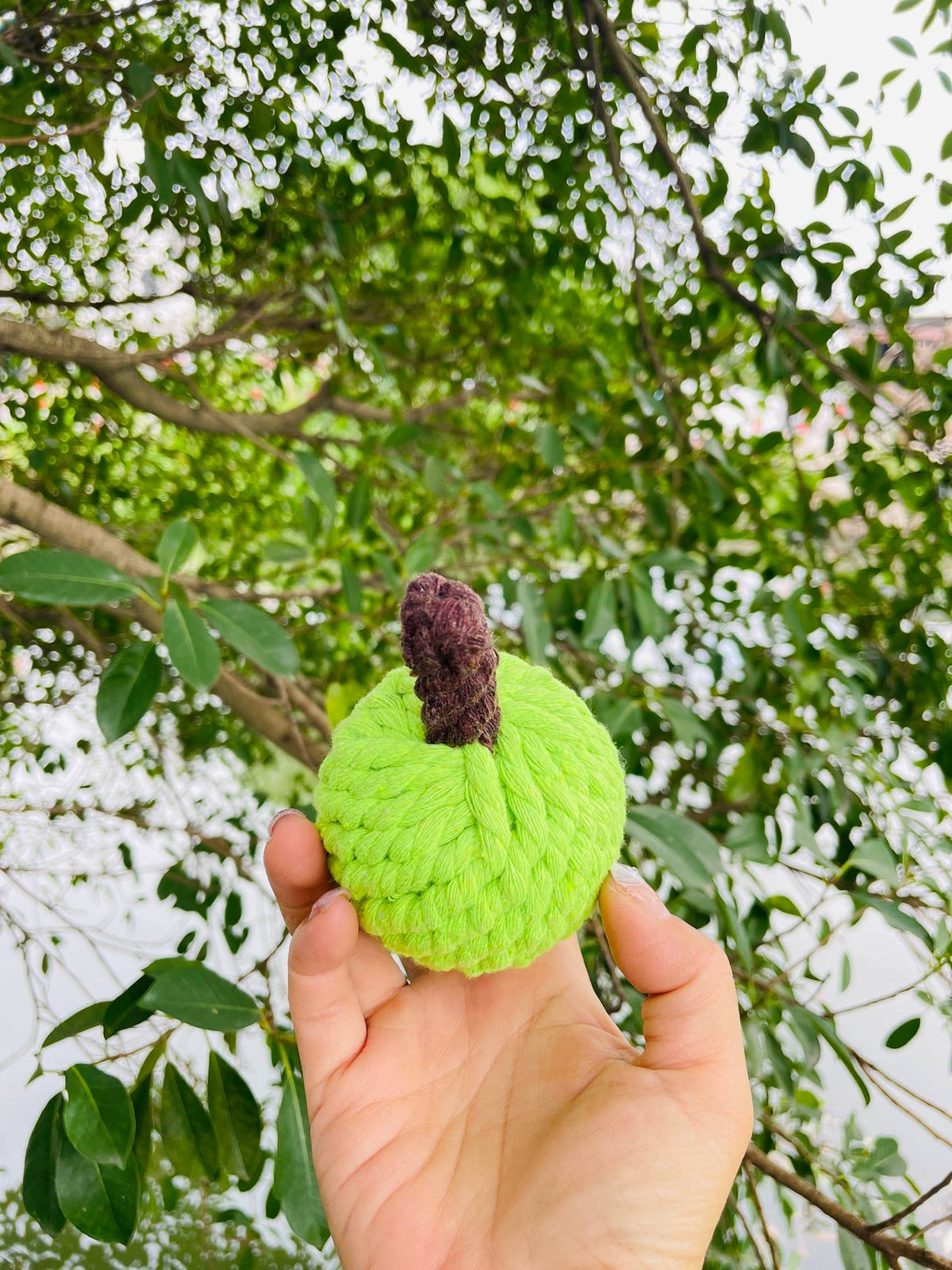 Colt's Woof Handmade Sustainable Green Apple Rope Chew Toy For Puppies for dogs (image 2 of 6)