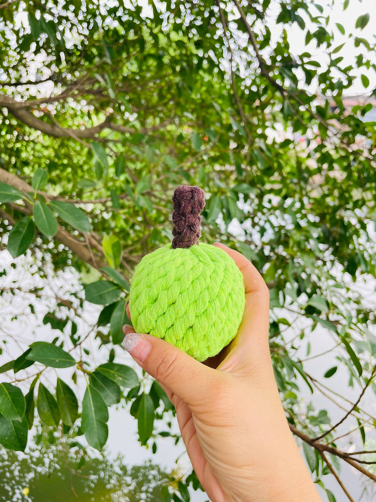 Colt's Woof Handmade Sustainable Green Apple Rope Chew Toy For Puppies for dogs (image 1 of 6)