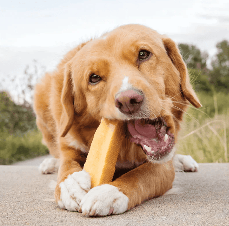 Colt's Woof Himalayan Yak Cheese Chews for dogs (image 8 of 8)