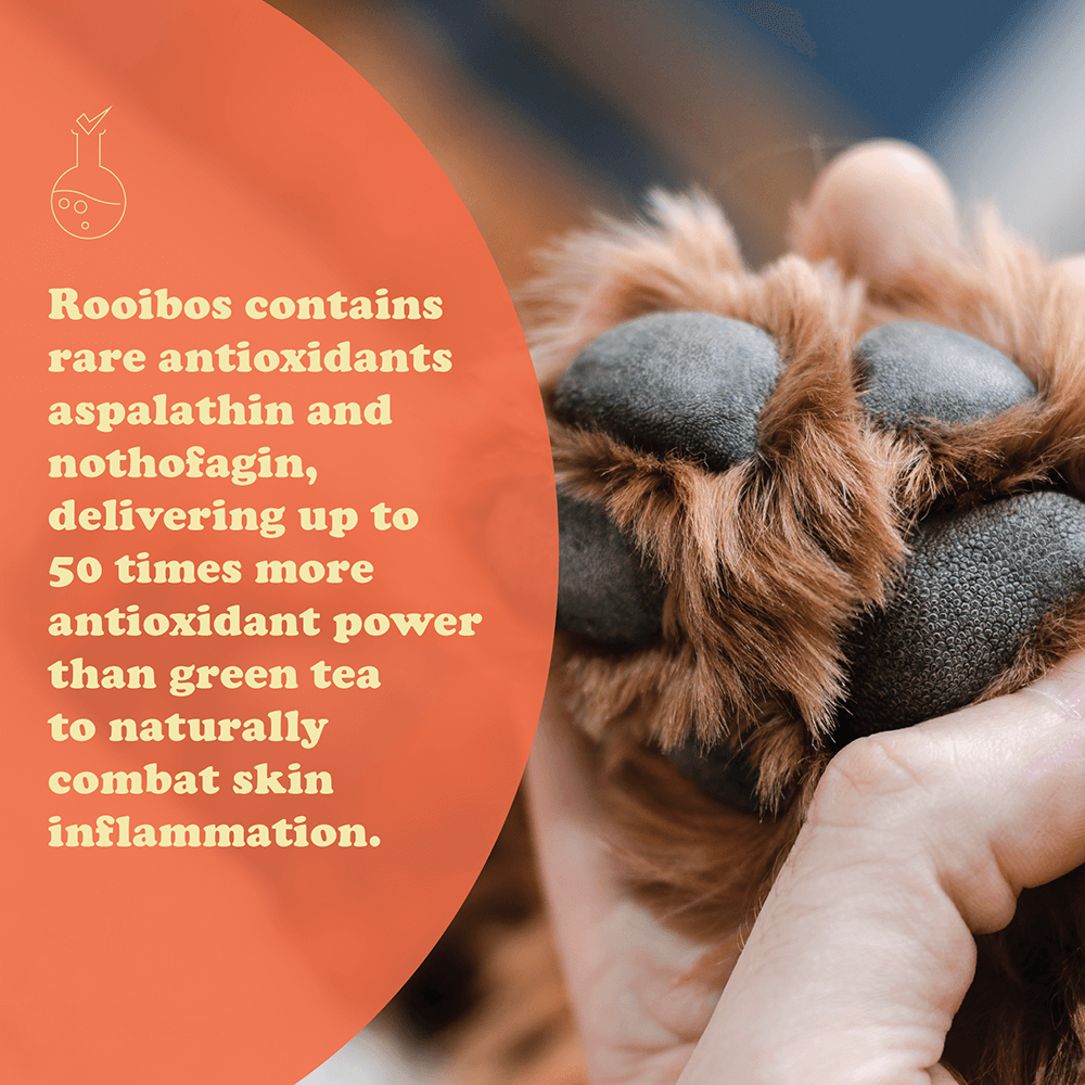 Colt's Woof Marula & Rooibos Soothing Paw & Nose Balm – Marula rooibos soothing paw nose balm for dogs (image 7 of 7)