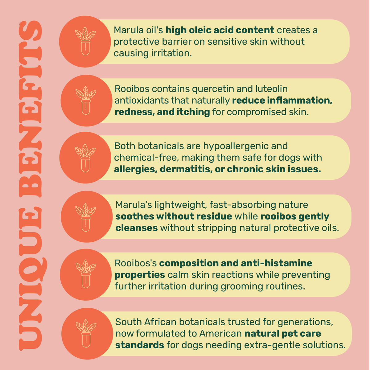 Colt's Woof Marula & Rooibos Soothing Paw & Nose Balm – Marula rooibos soothing paw nose balm for dogs (image 5 of 7)