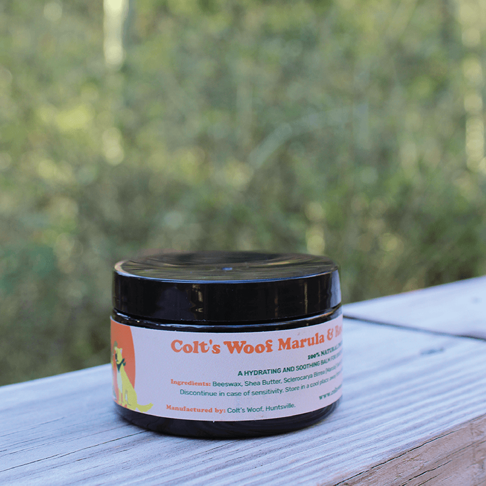 Colt's Woof Marula & Rooibos Soothing Paw & Nose Balm – Marula rooibos soothing paw nose balm for dogs (image 2 of 7)