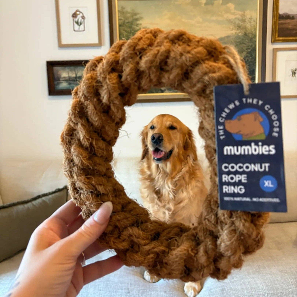 Colt's Woof Coconut Rope Ring – Medium coconut rope ring for dogs (image 2 of 8)