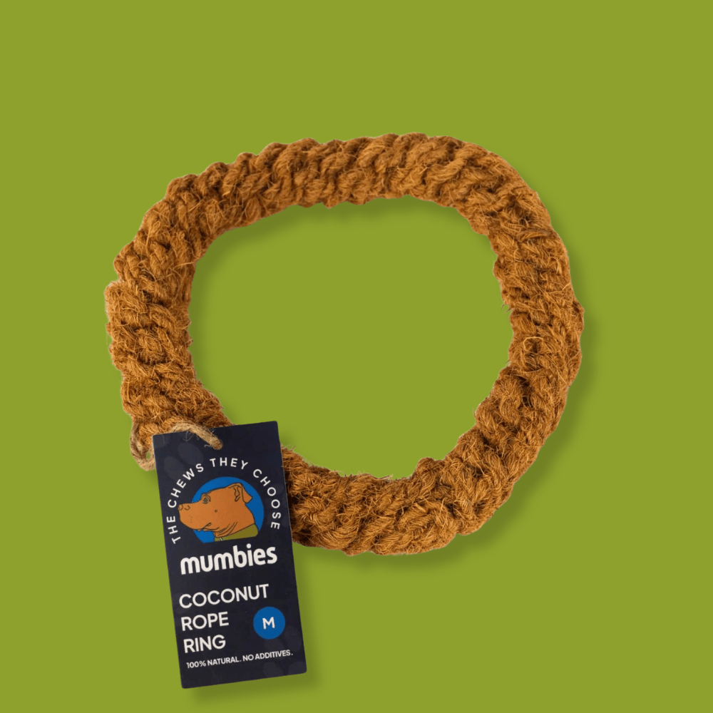 Colt's Woof Coconut Rope Ring – Medium coconut rope ring for dogs (image 1 of 8)