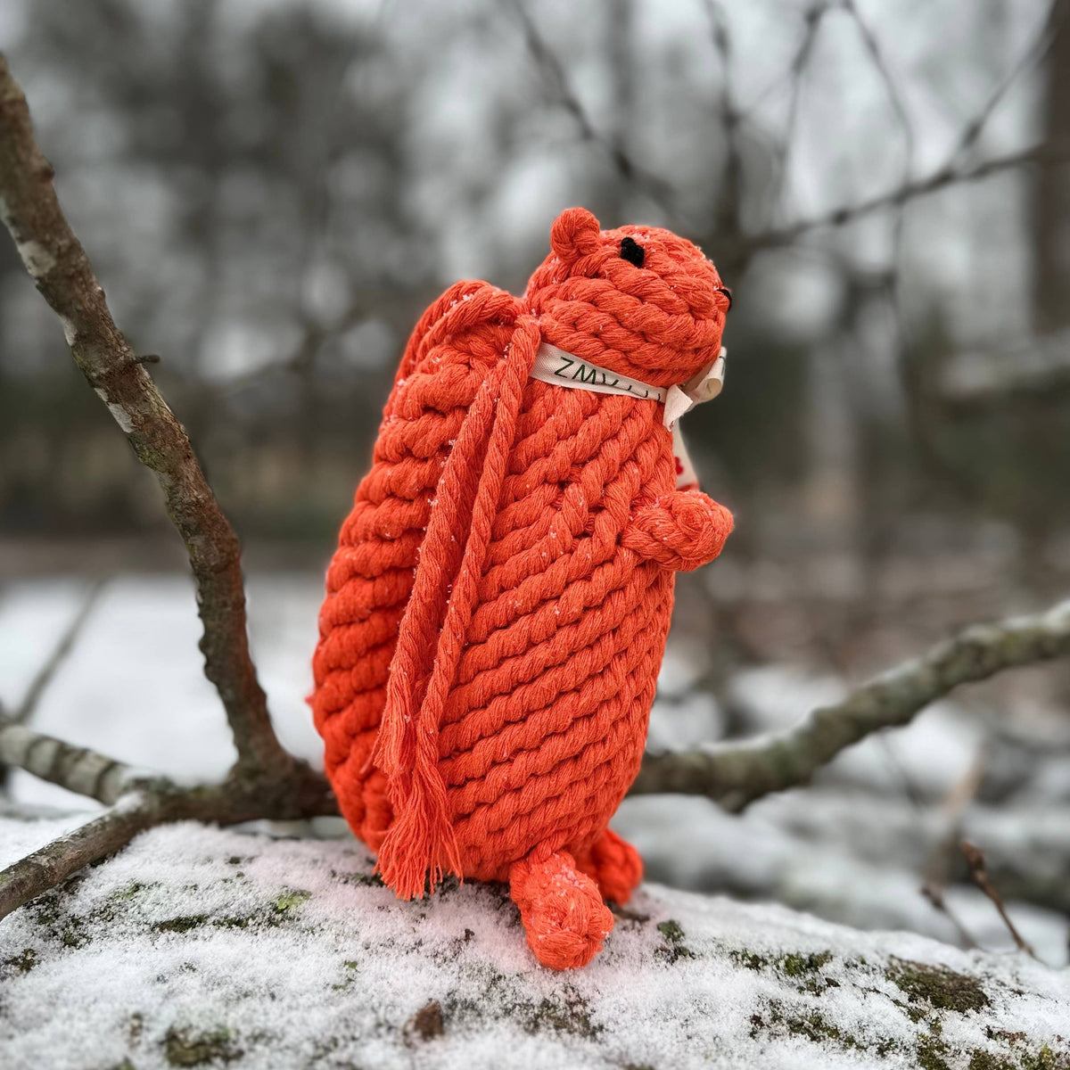 Colt's Woof Oliver the Squirrel Rope Toy – Small oliver the squirrel rope toy for dogs (image 3 of 4)