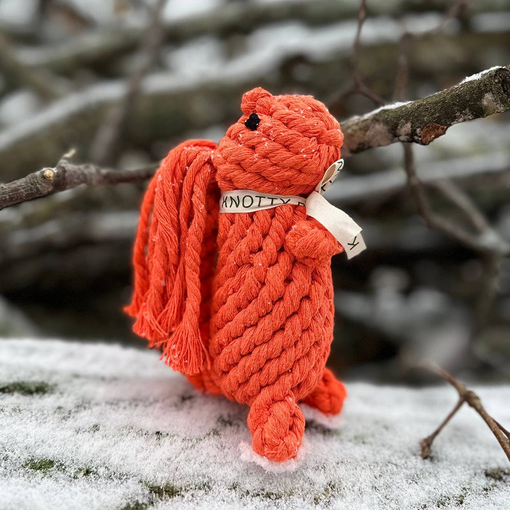 Colt's Woof Oliver the Squirrel Rope Toy – Small oliver the squirrel rope toy for dogs (image 2 of 4)