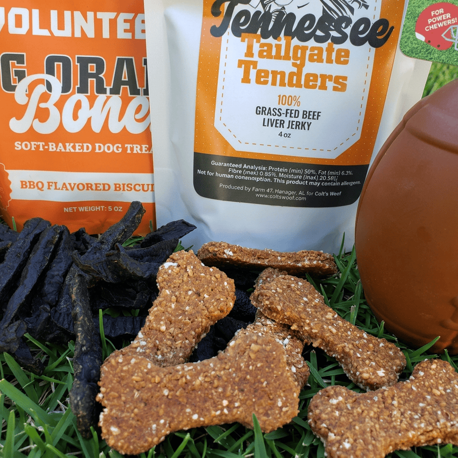 Tennessee Football Game Day Bundle for Dogs