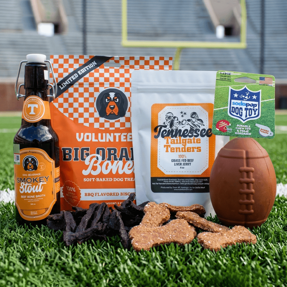Tennessee Football Game Day Bundle for Dogs