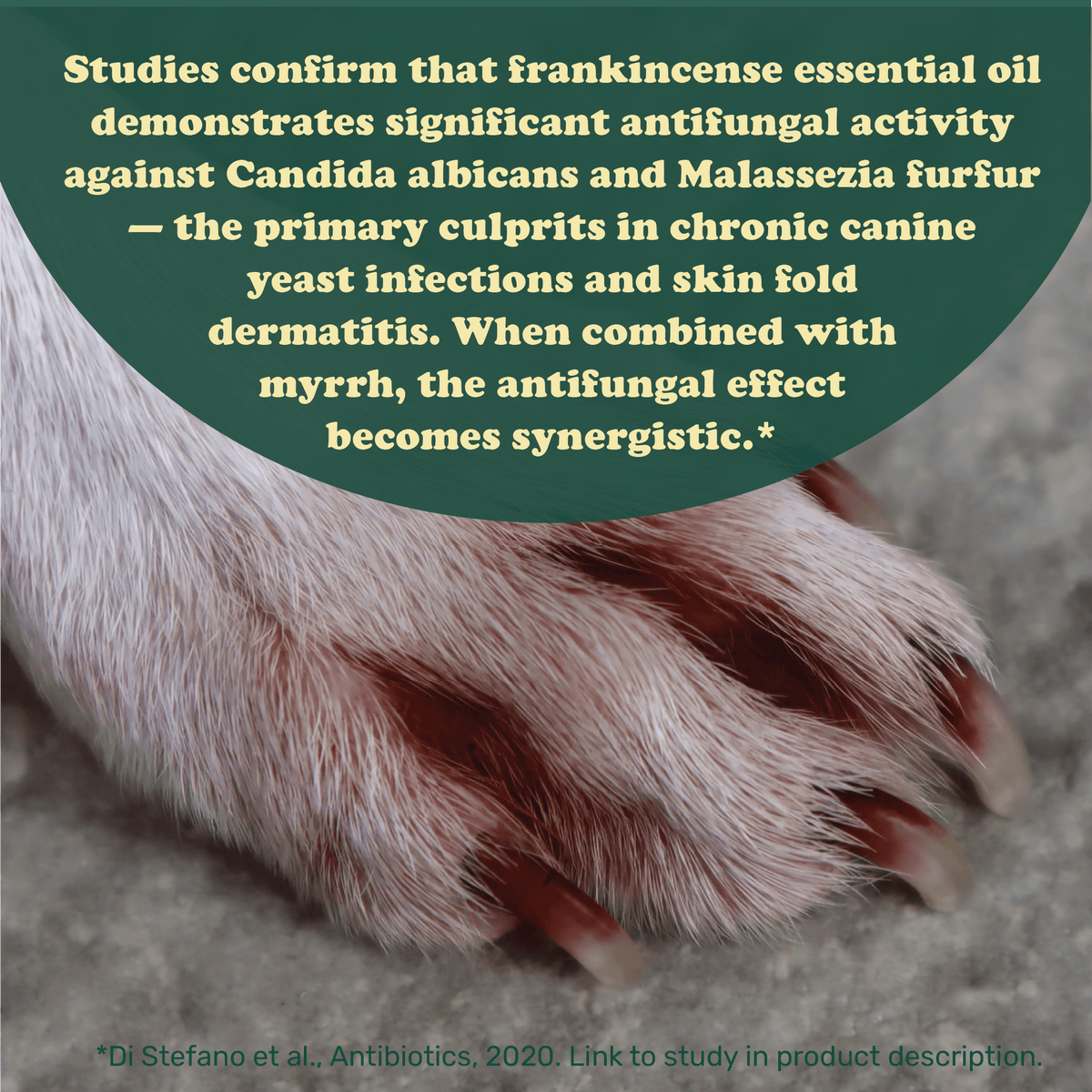 Yeast Defence Powder for Itchy Paws and Irritated Skin